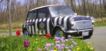 駐車場前のミニクーパー